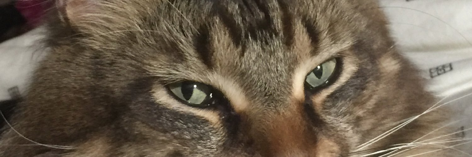 amanrea's profile banner image