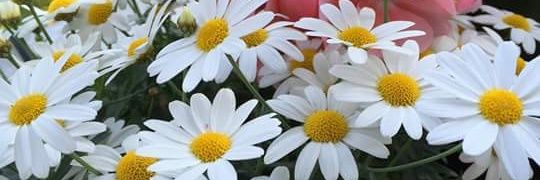 Andrea_Atienza's profile banner image