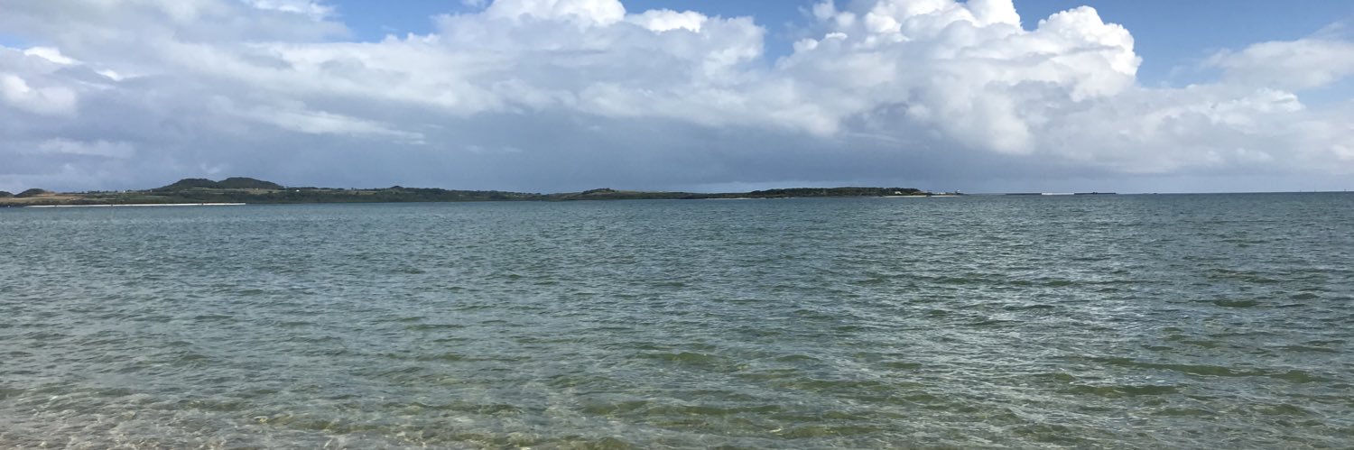 puisuke76's profile banner image