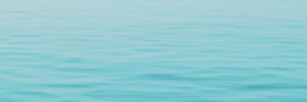 Jade Tang-Taylor banner