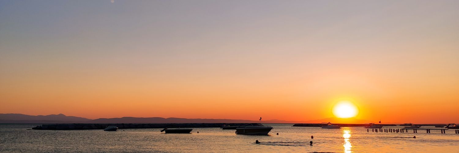 aysegulsarioglu's profile banner image