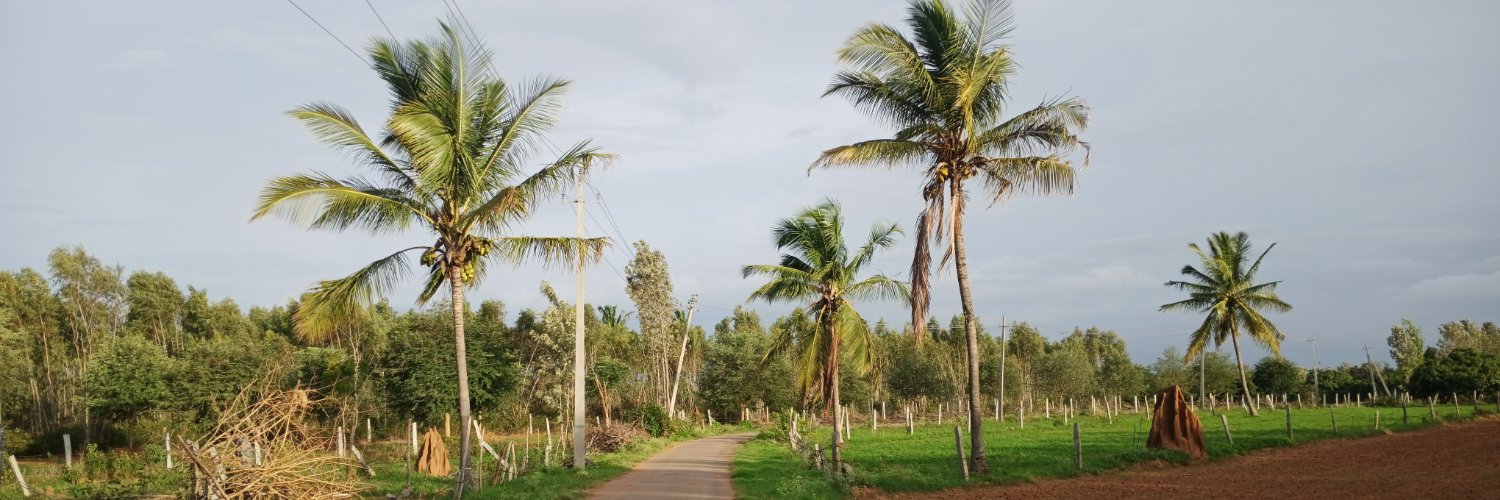 mohithn01's profile banner image
