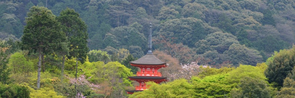 יואב85 👨‍💻 ヨアヴ八五 banner