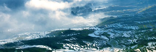 Titianjun99 Profile Banner
