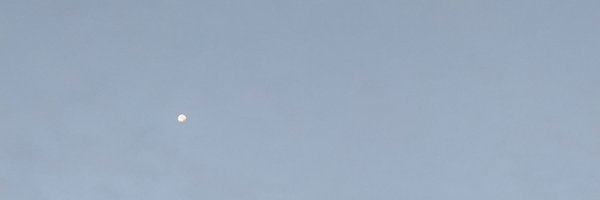 tturtle_r Profile Banner