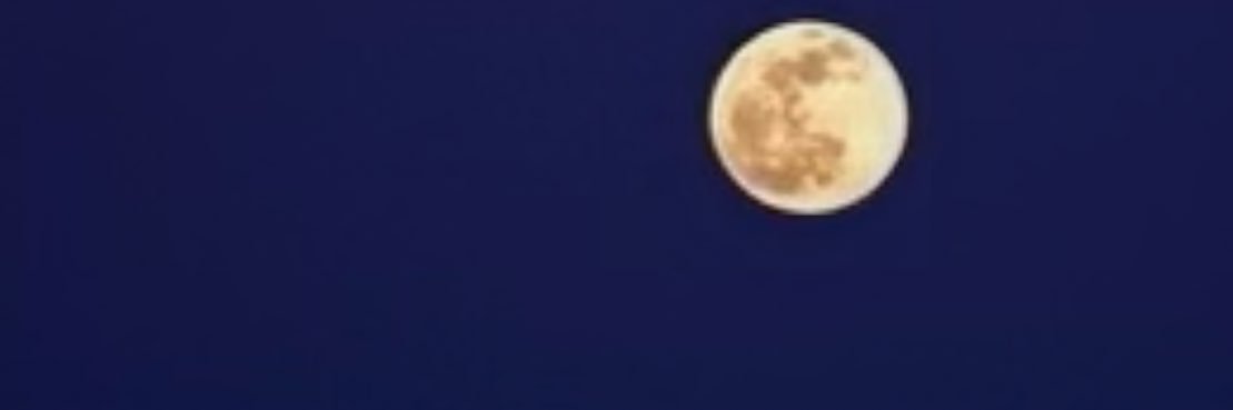 taniutiong's profile banner image