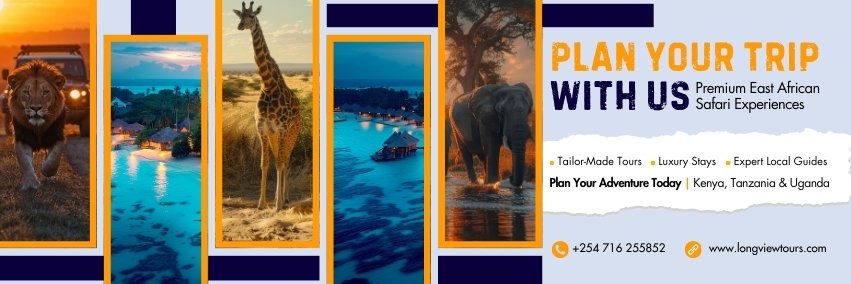 LongviewTravel's profile banner image
