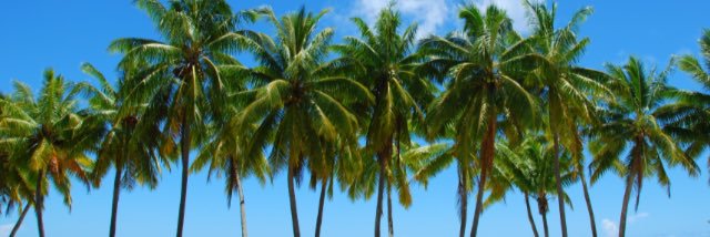 Sam ✌🏼️🙋🏻 banner