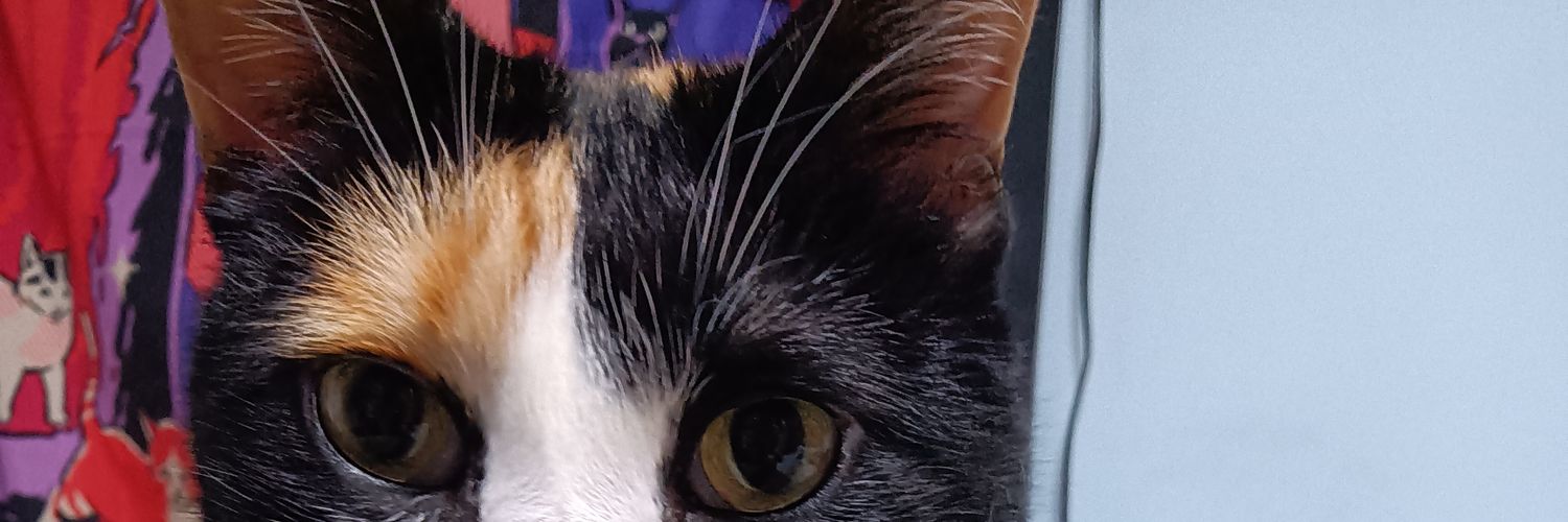 Ekatobii's profile banner image