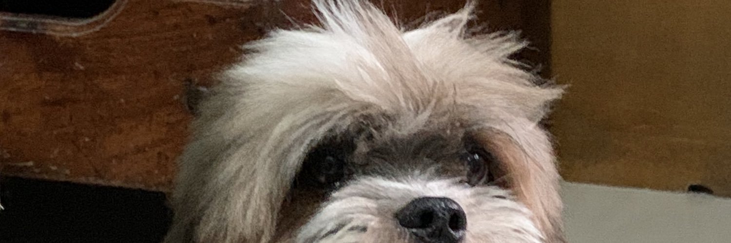 jdreibbb's profile banner image