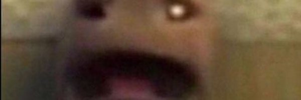 Swagbe3r Profile Banner