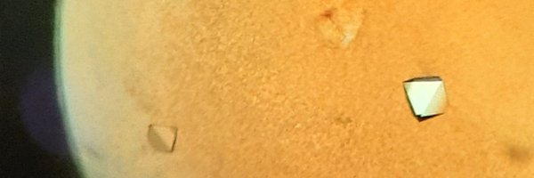 d_sabonis Profile Banner