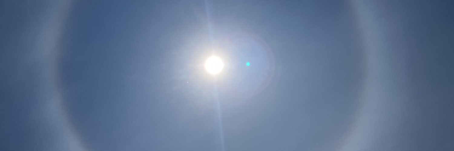 毒ヘビに睨まれたカエル banner