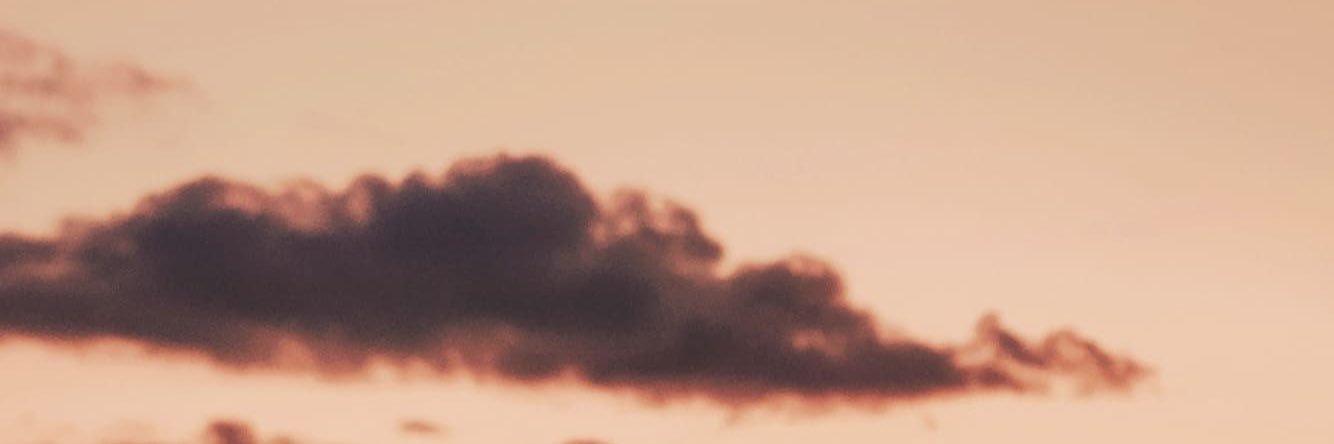Leeona banner