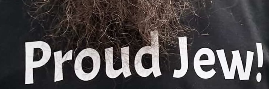 Binyomin Freundlich banner