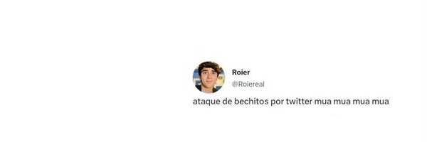 Roier Reactions 🕷 Profile Banner