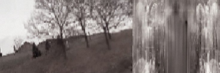 lovesicknev's profile banner image