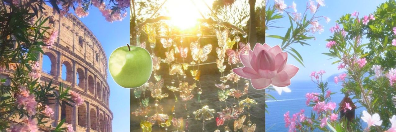 fran. ᡣ𐭩𝅄 (Roy's mari) banner