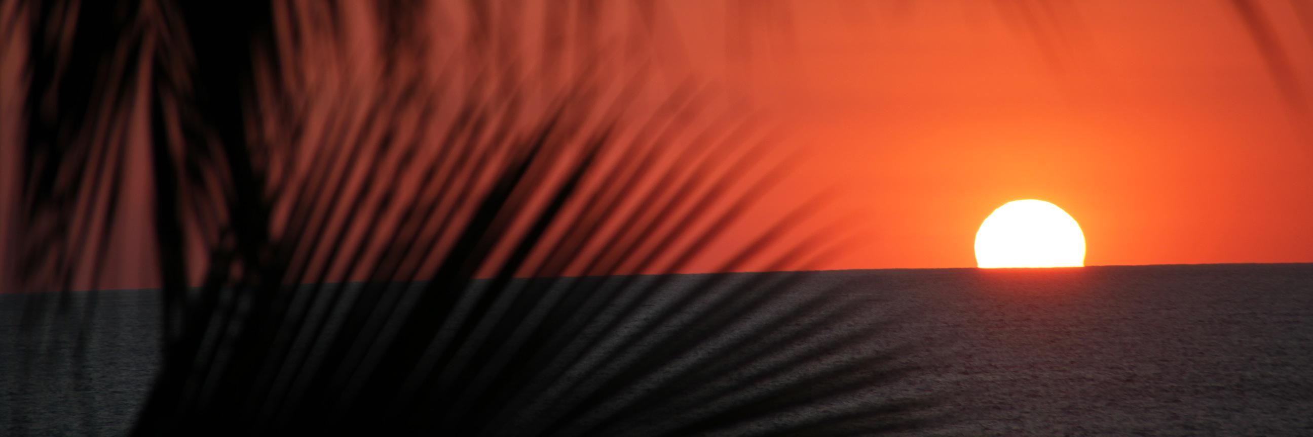 ShirleyCalvo's profile banner image