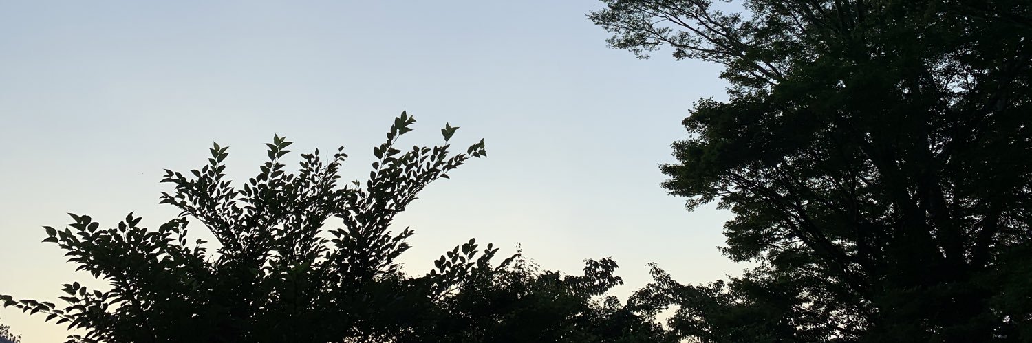 stratis_come's profile banner image