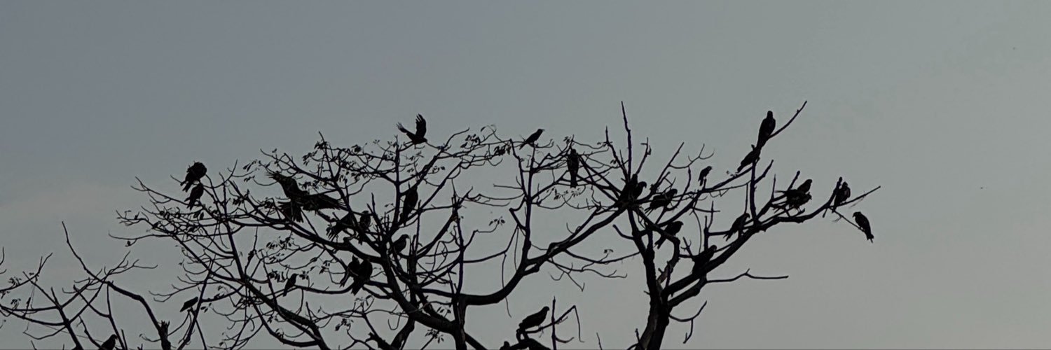 Thechegue's profile banner image