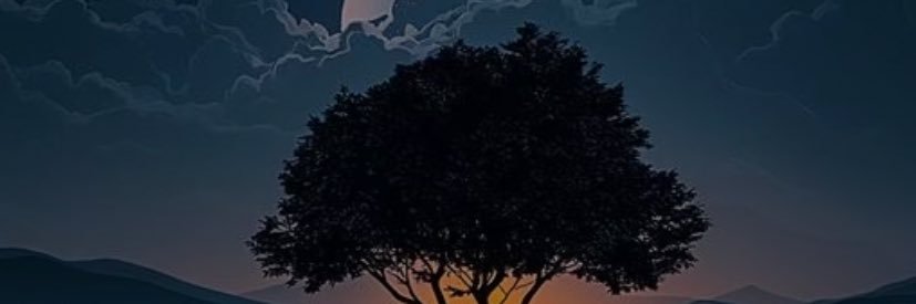 y9076's profile banner image