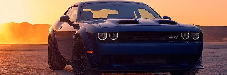 nappi31's profile banner image