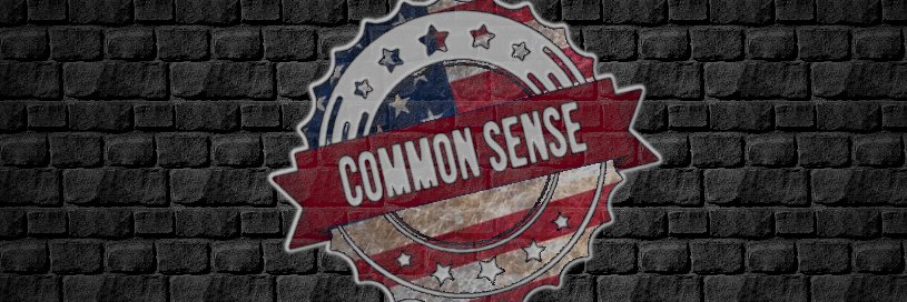 Commonsense Conservative banner