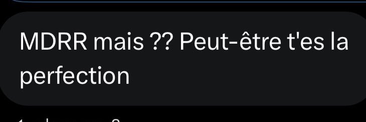 petite chienne banner
