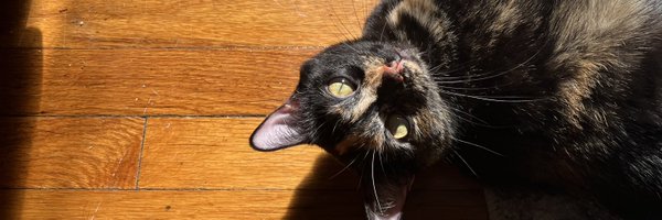 babiebabka Profile Banner