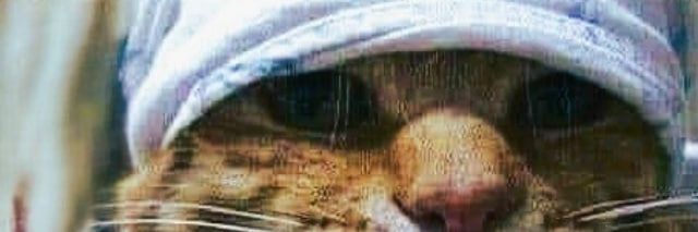 ᴄʜʀɪs☯ banner