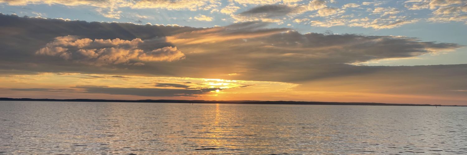 BayouGrown banner