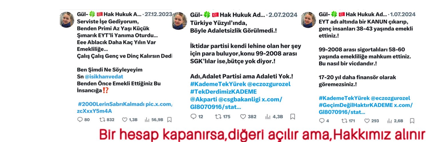 Gül Zengin 🇹🇷🍀EMADDER 🇹🇷 banner