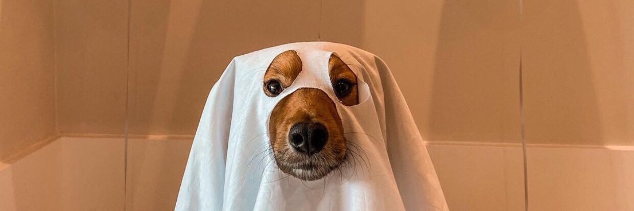 fubbyyyy's profile banner image