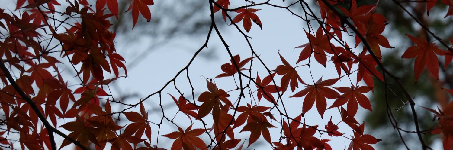 RROONG's profile banner image