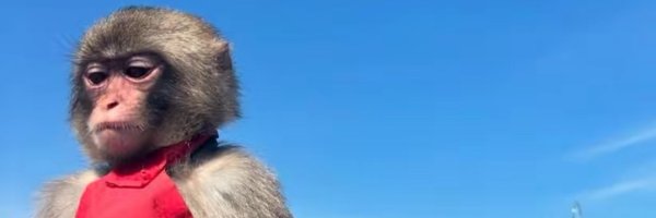 preston4321__ Profile Banner