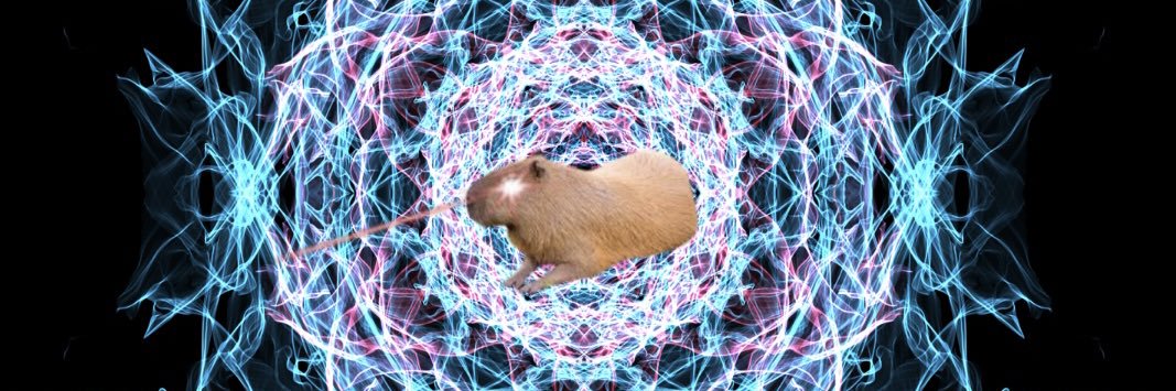 the observer👁️ banner