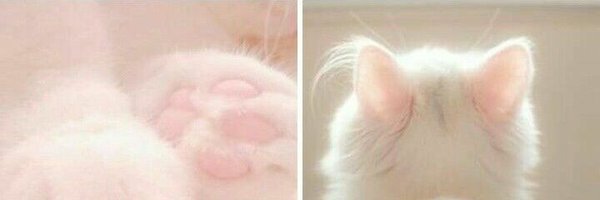 fU2lU9's profile banner image