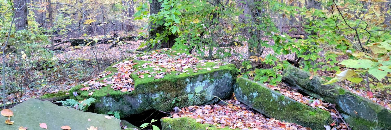 MaureenRHarper's profile banner image