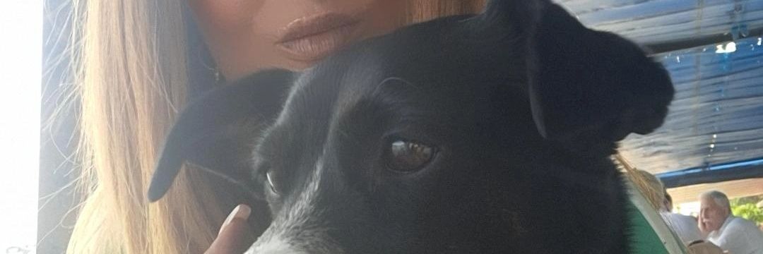 bahargiller's profile banner image
