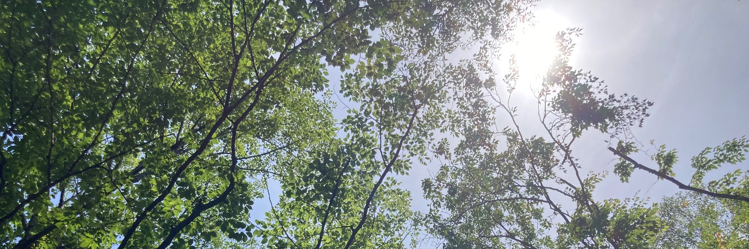 kayoo8's profile banner image