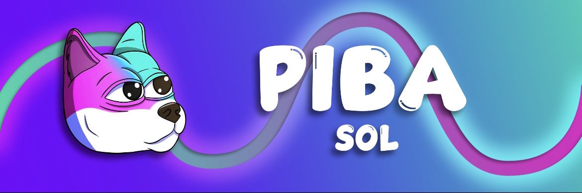 PIBAonSOL's profile banner image