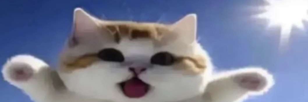 ZirdthEnjoyer's profile banner image