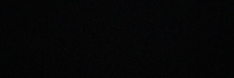 Bryan Hamilton banner