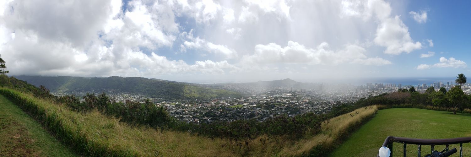 Leslie 🦜🦋 🐦‍🔥🐞 banner