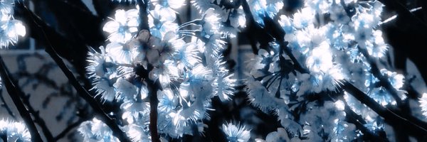 gou_tou21081 Profile Banner