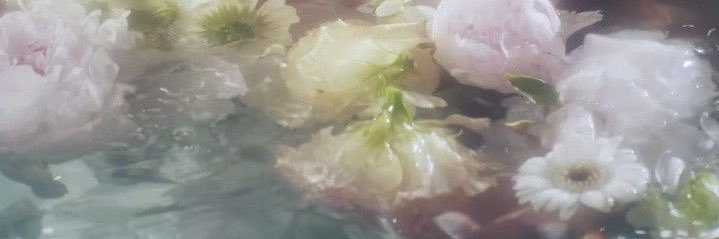 CHL_Amelia's profile banner image