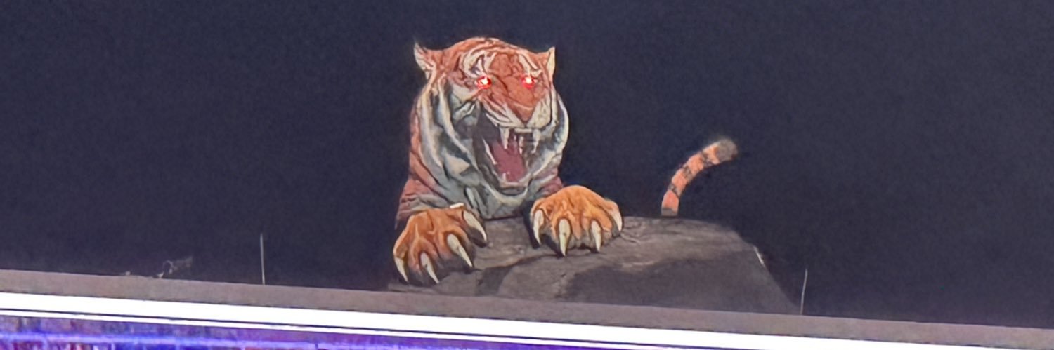 flyingtigerfan's profile banner image