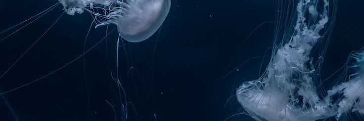 Ra² banner