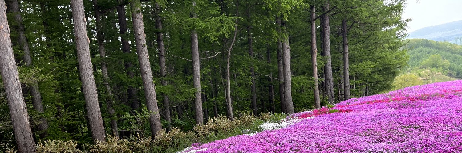 いっちー(巣穴から出たり入ったりしてるよ) banner